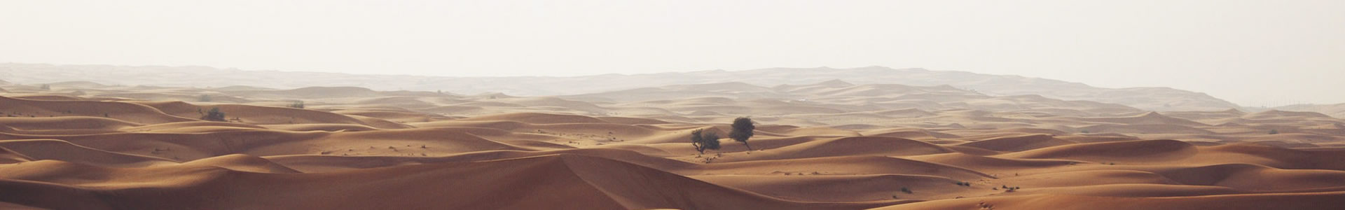 ǣݣܿƼ޹˾